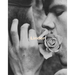 Linder