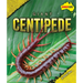 Giant Centipede