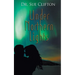 Under Northern Lights