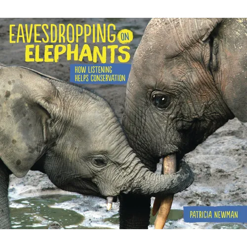Eavesdropping on Elephants: How Listening Helps Conservation