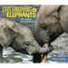 Eavesdropping on Elephants: How Listening Helps Conservation
