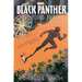 Black Panther: The Young Prince