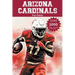 Arizona Cardinals Fun Facts