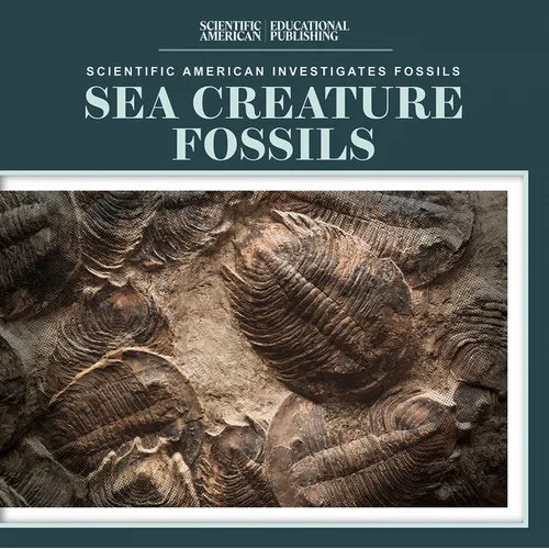 Sea Creature Fossils