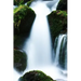A Pretty Creek: Creeks, Streams and Waterways in General Are Known as Surface Hydrology and Are a Core Element of Environmental Geography.