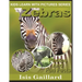 Zebras: Photos and Fun Facts for Kids