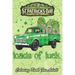 St Patricks Day Coloring Book For Adult: Loads of Luck Gnomes Funny Leprechaun An Adult Coloring Books St Patrick for Kids, Adults with Beautiful Iris