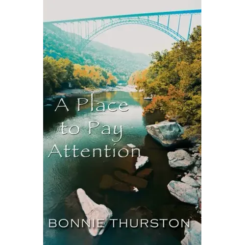 A Place to Pay Attention