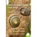 Samoan Land Snails and Slugs - An Identification Guide