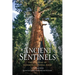 Ancient Sentinels: The Sequoias of Yosemite National Park