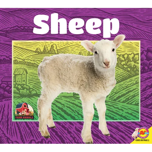 Sheep