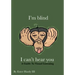 I'm Blind I Can't Hear You: A Guide to Visual Listening