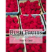 Bush Fruits: A Monograph of Raspberries, Blackberries, Dewberries, Currants, Gooseberries, etc.