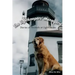 The Lightkeepers' Menagerie: Stories of Animals at Lighthouses