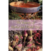 The Essence of Herbal and Floral Teas