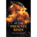 As the Phoenix Rises: The Ashes Remain