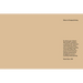 Robert Gober: Slides of a Changing Painting