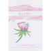 Birth: A Guide for Prayer