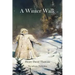 A Winter Walk