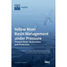 Yellow River Basin Management under Pressure: Present State, Restoration and Protection