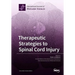 Therapeutic Strategies to Spinal Cord Injury
