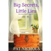 Big Secret, Little Lies