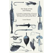 The Book of Fish and Fishing - A Complete Compendium of Practical Advice to Guide Those Who Angle for All Fishes in Fresh and Salt Water
