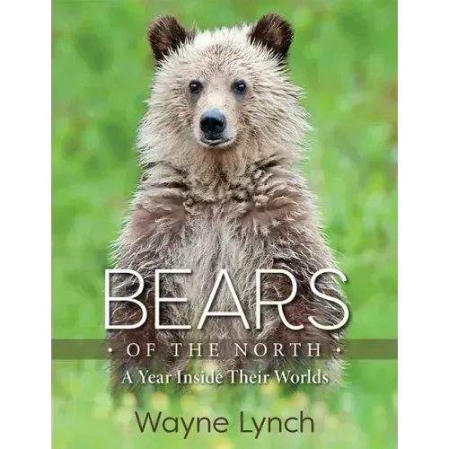 Bears of the North: A Year Inside Their Worlds