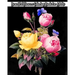 Beautiful Flowers Coloring Book for Adults