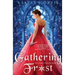 Gathering Frost