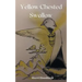 Yellow Chested Swallow