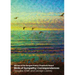 Birds of Sympathy: Correspondences