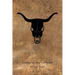 Fracas in the Foothills (A Homer Evans Western Mystery)