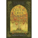 Celtic Tree Ogham: Rituals and Teachings of the Aicme Ailim Vowels and the Forfeda