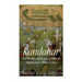 Kandahar: The History and Legacy of One of Afghanistan's Oldest Cities