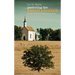 Pastoring the Small Church: Remaining Faithful in a Big Church World