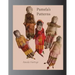 Pamela's Patterns