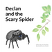 Declan and the Scary Spider