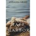 Safe Harbor: (The Lake Series, Book 3)