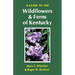 A Guide to the Wildflowers and Ferns of Kentucky