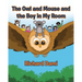 The Owl and Mouse and the Boy in My Room