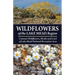 Wildflowers of the Lake Mead Region