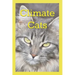 Climate Cats: A Kitten Adventure In The Bay of Fundy