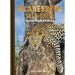 Pilanesberg Self-Drive: Routes, Roads & Ratings