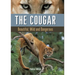 The Cougar: Beautiful, Wild and Dangerous