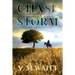 Chase the Storm