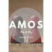 Amos: Day by Day