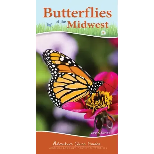 Butterflies of the Midwest: Identify Butterflies with Ease
