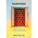 Seventeen: extraordinary journeys of ordinary young Indians