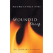 Wounded Sheep: How to Heal Church Hurt